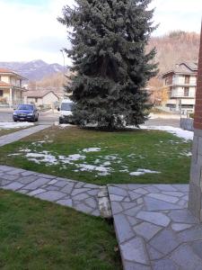 a christmas tree in a yard with snow on the grass at ALLOGGIO ARCOBALENO in Brossasco