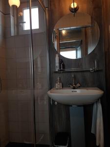 een badkamer met een wastafel, een spiegel en een douche bij Stadslogement de Wolkeamer in Drachten