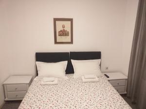 Katil atau katil-katil dalam bilik di Zeravica Rooms B&B
