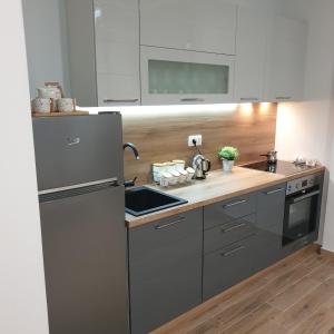 a kitchen with a refrigerator and a sink at Apartman Noalux Kopaonik in Kopaonik