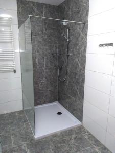 a shower with a glass door in a bathroom at Welcome Cozy Apartment Old Town in Elblag