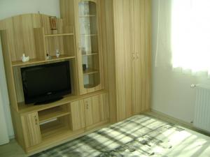 Televízia a/alebo spoločenská miestnosť v ubytovaní Elizabeth apartman Siófok