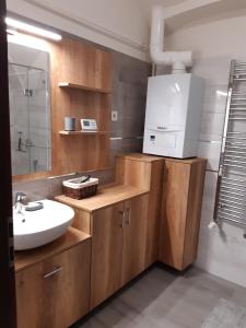 Kuchyňa alebo kuchynka v ubytovaní 5Churches Apartment + 9 fotografií