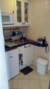 Kuchyňa alebo kuchynka v ubytovaní Mira apartman Siófok + 6 fotografií