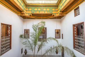 a room with a ceiling and a plant in it at Le cèdre d'argent in Fez