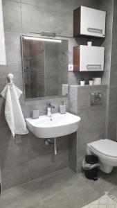 Apartman Mladenovic Divcibare tesisinde bir banyo