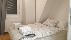 Apartman Mladenovic Divcibare tesisinde bir odada yatak veya yataklar