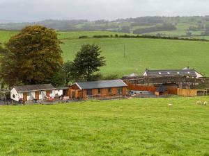 eine Gruppe von Gebäuden auf einem Feld mit Schafen im Gras in der Unterkunft Newlands Farm Stables in Kendal