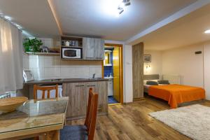 a kitchen and a living room with a bed at Vila Aleksandra in Zlatibor