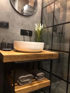 Kúpeľňa v ubytovaní Loft Apartment Browary Warszawskie