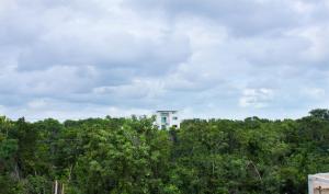 un bâtiment blanc au-dessus de quelques arbres dans l'établissement Rooms in Cancun Airport, à Cancún