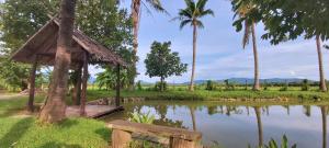 eine Bank neben einem Teich mit Palmen in der Unterkunft Le Cocotier in Ban Cho Lae