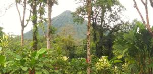 Gallery image of Tropical Suites & Villas in Fortuna