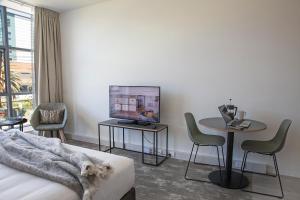 a living room with a couch and a table and a tv at Sojourn Apartment Hotel - Riddiford in Wellington
