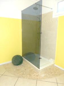 a shower with a glass door in a bathroom at Maison de 2 chambres avec jardin clos a Cilaos in Cilaos