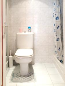 ein weißes Bad mit einem WC und einer Dusche in der Unterkunft Appartement d'une chambre avec terrasse a Entrevaux in Entrevaux