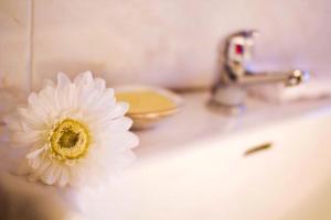 a flower sitting on a bathroom sink with a faucet at Contemporary Villa in Atarfe with Private Pool and Mountain View in Atarfe +23 photos
