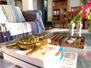 a turtle sitting on top of a book on a table at 3 bedrooms house at Trou aux Biches 10 m away from the beach with sea view furnished garden and wifi in Trou aux Biches