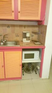 Cocina de juguete con fregadero y microondas en Appartement d'une chambre avec jardin clos et wifi a Baie Mahault, en Baie-Mahault