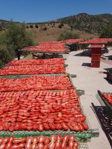 a bunch of carrots are lined up on the ground at Azienda Agrituristica Bergi in Castelbuono