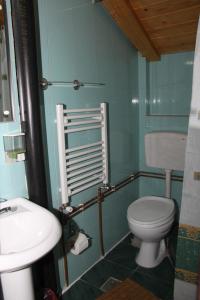 a bathroom with a toilet and a sink at Pensiunea Casa Alex in Sadova +39 photos