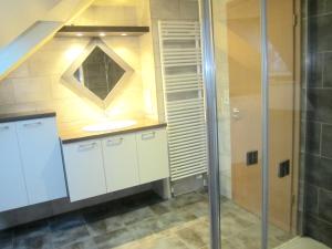 a bathroom with a sink and a shower at Maison de 6 chambres avec jardin clos et wifi a Sermersheim in Sermersheim