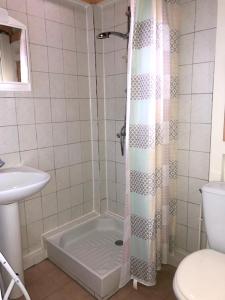 a bathroom with a shower with a toilet and a sink at Studio avec vue sur la mer jardin clos et wifi a Les Trois Ilets in Les Trois-Îlets