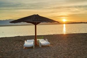 zwei Stühle und ein Sonnenschirm am Strand in der Unterkunft Cosy apartment in Pag / 26 m² / Sea view in Pag + 16 Fotos