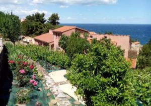 an overhead view of a garden with flowers at Studio charmant avec vue sur la mer à Collioure - 55 m² - Terrasse in Collioure