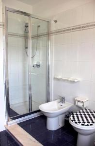 ein Bad mit einer Dusche, einem WC und einem Waschbecken in der Unterkunft One bedroom apartement with wifi at Calvello in Calvello