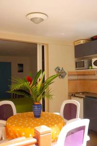 a table with a vase on it in a kitchen at Appartement cosy à Sainte-Anne - 30 m² avec piscine privée in Sainte-Anne