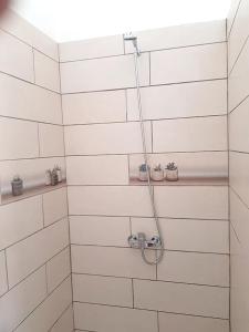 a bathroom with a shower with cactuses at Studio moderne à Baie Mahault 27 m² avec balcon agréable in Baie-Mahault