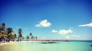 une plage avec des palmiers et l'océan avec des gens dans l'eau dans l'établissement Studio tout confort à Sainte-Anne - 39 m² - Vue sur jardin, à Sainte-Anne