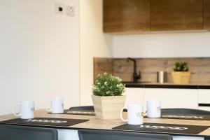 A kitchen or kitchenette at YUGOGO PELLICO 8 Trento Centro