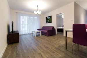 TV a/nebo společenská místnost v ubytování Apartamenty Spokojna 24C