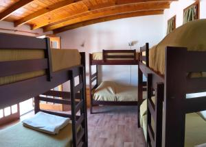 a room with several bunk beds in a house at Hostel Sauce in Mar del Plata