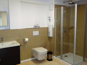 a bathroom with a shower and a toilet and a sink at Speicher Residenz Barth E4 App 9 in Barth