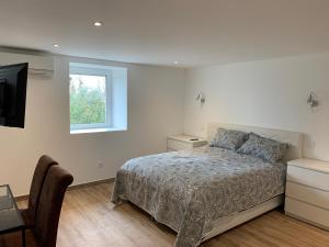 1 dormitorio con cama, ventana y TV en Le gite des mariniers, en Saint-Pierre-de-Boeuf