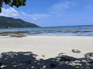 a beach with rocks in the sand and the ocean at The Beach House in Beau Vallon