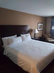 a large white bed in a hotel room at Holiday Inn Express & Suites Zanesville North, an IHG Hotel in Zanesville