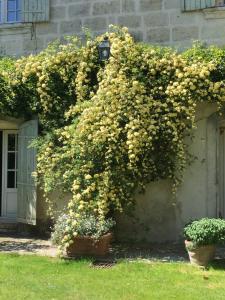 Taman di luar Maison charmante à Marsillargues