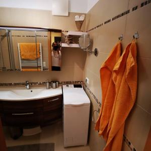 ein Badezimmer mit einem Waschbecken, einem WC und einem Spiegel in der Unterkunft Ferienwohnung Konold in Altenmarkt im Pongau