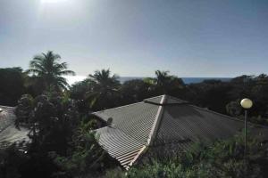 un tetto di una casa con palme e l'oceano di Charmant bungalow F3 sur la plage de petite anse, Bouillante a Bouillante