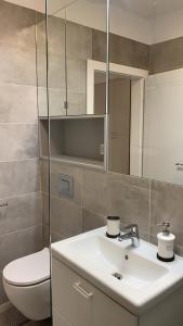 La salle de bains est pourvue d'un lavabo, de toilettes et d'un miroir. dans l'établissement Comfort Plaza Residence Studio (Lujerului), à Bucarest