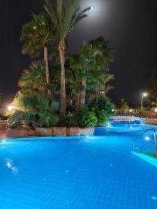a large swimming pool with palm trees at night at Nissiana Hotel & Bungalows in Ayia Napa