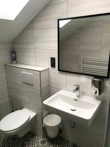 a bathroom with a sink and a toilet and a mirror at Ubytování Osové in Velké Meziříčí