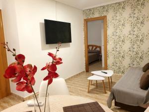 Televízia a/alebo spoločenská miestnosť v ubytovaní Apartamento Guardamar Playa