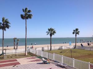 a view of a beach with palm trees and the ocean at Sea Shell Inn on the Beach in Corpus Christi