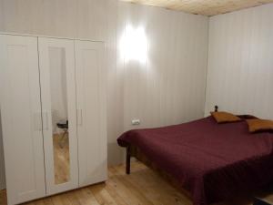 1 dormitorio con 1 cama y una luz en la pared en Tereza's Palace, en Pavel Banya
