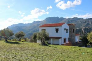 ein Haus auf einem Hügel mit Bergen im Hintergrund in der Unterkunft Apartamentos Cedro Alto in Benaoján